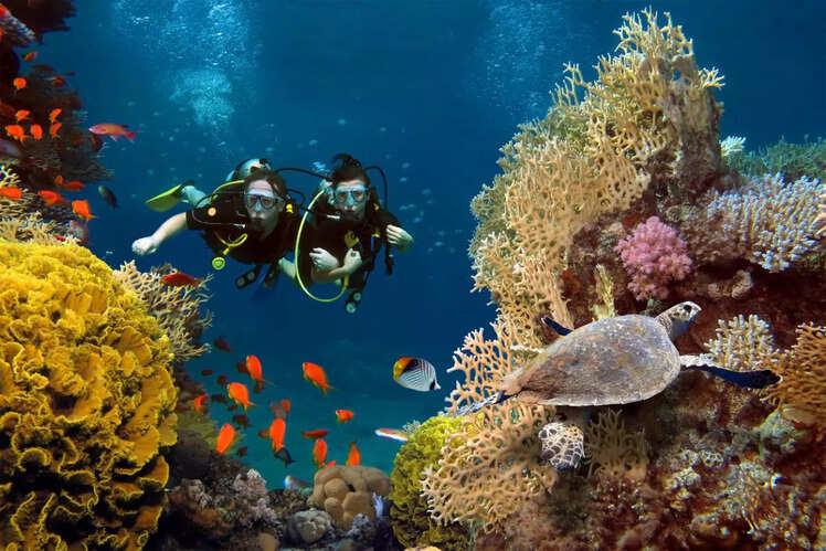 Lakshadweep Scuba Diving Special