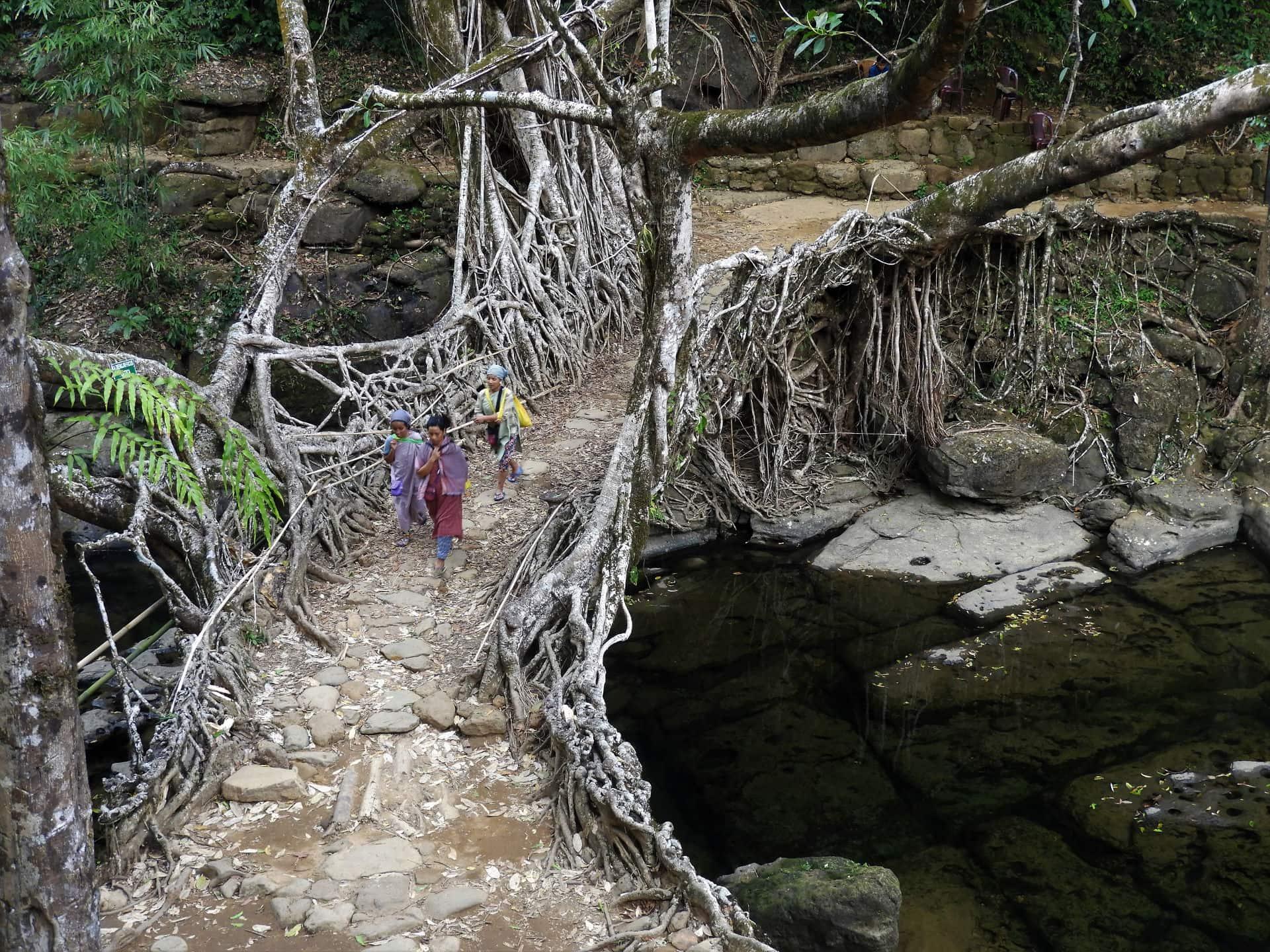Shillong – Mawlynnong – Dawki